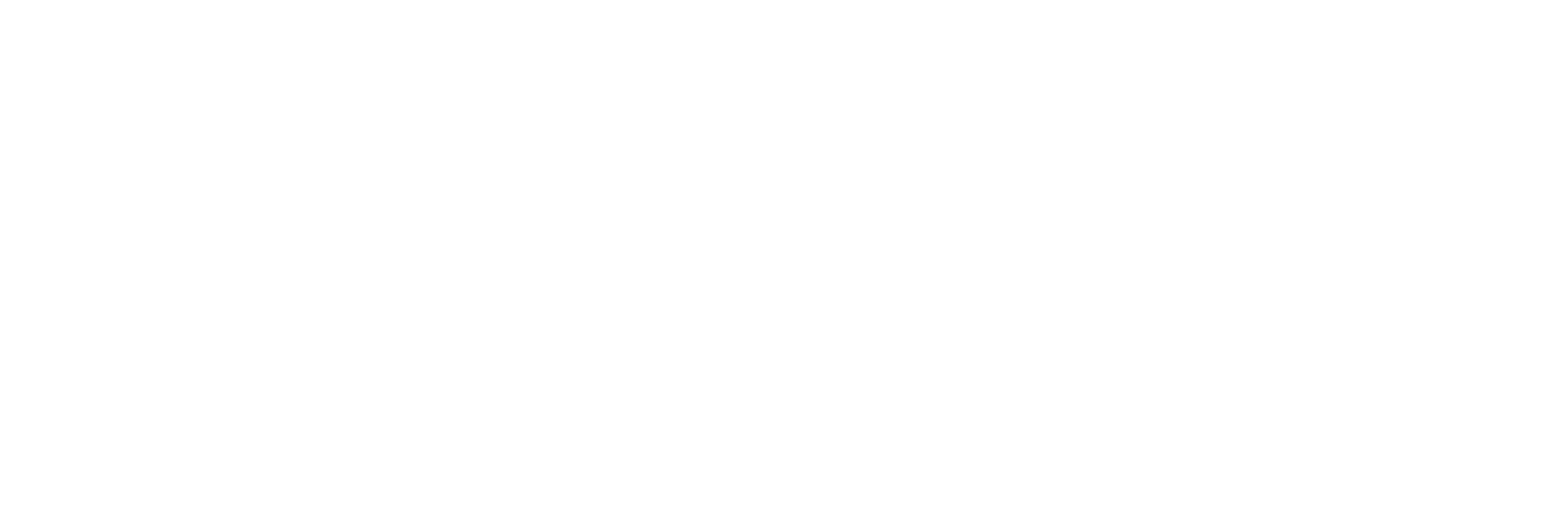 موقع الشيخ لحسن سليماني